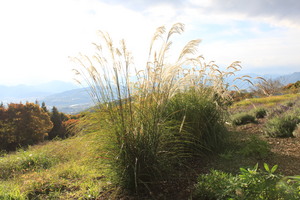 Blog_2010_11_004.JPG