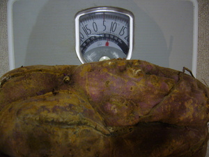 P1210435.JPG