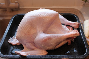 Xmas_turkey.JPG
