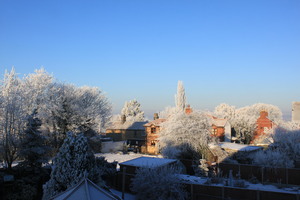 twie_001.JPG