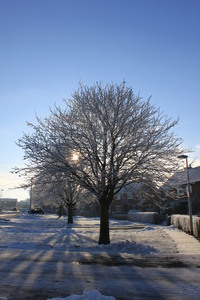twie_003.JPG