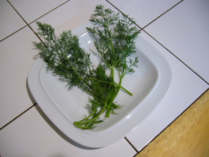 Cooking_herb_02.JPG