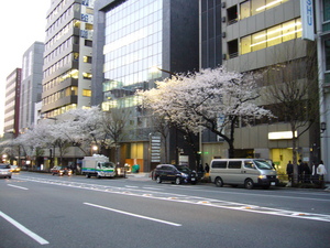Yasukuni_street_03.jpg