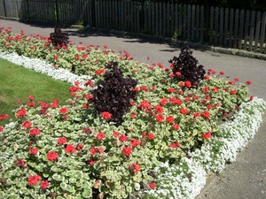 park_02.jpg