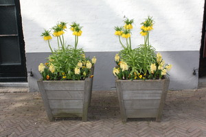IBC_garden_no.1_02.JPG