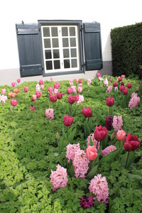 IBC_garden_no.1_03.JPG