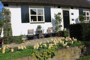 IBC_garden_no.3_02.JPG