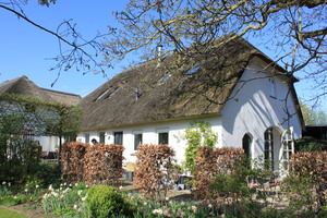 IBC_garden_no.3_05.JPG