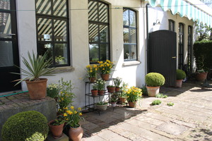 IBC_garden_no.4_02.JPG