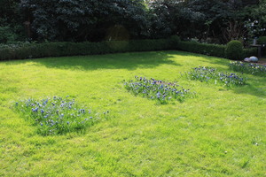 IBC_garden_no.5_01.JPG