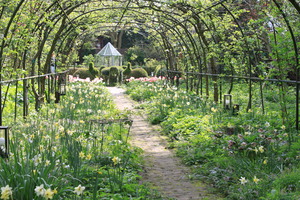 IBC_garden_no.5_05.JPG