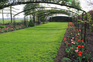 IBC_garden_no.6_02.JPG
