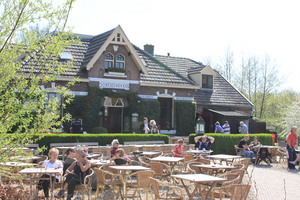 IBC_lunch_02.JPG