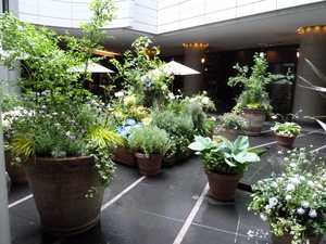 Redoute_0530_05.JPG