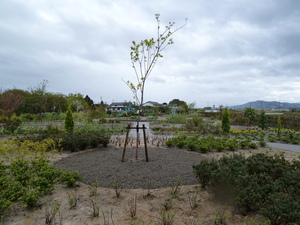 Shiga_S01.JPG