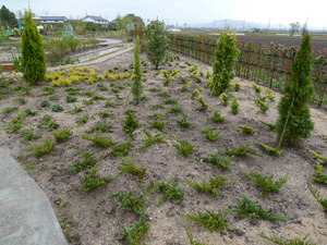Shiga_S02.JPG