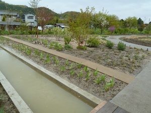 Shiga_S03.JPG