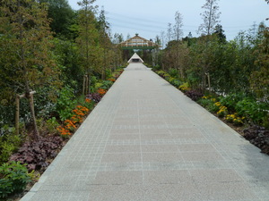 Ebia_0525_01.JPG