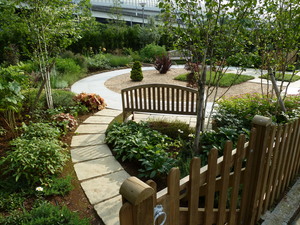 MarksGarden_0609_02.JPG