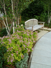 MarksGarden_0609_03.JPG