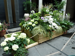 Redoute_0615_01.JPG