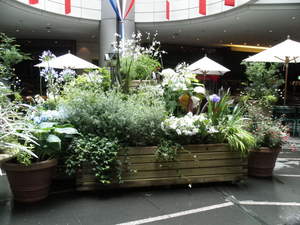 Redoute_0623_05.JPG