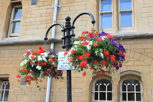 CouncilHB_01.JPG