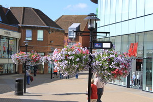 CouncilHB_05.JPG