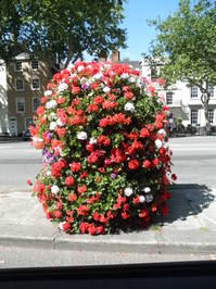 CouncilHB_06.JPG