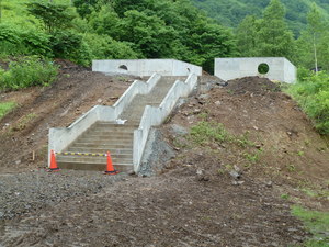 Hakuba_201106_02.JPG