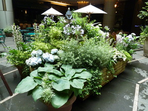 Redoute_0702_03.JPG