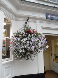 ShopHB_01.JPG