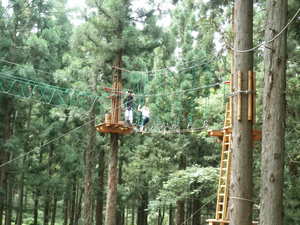 Hakuba_201108_15.JPG
