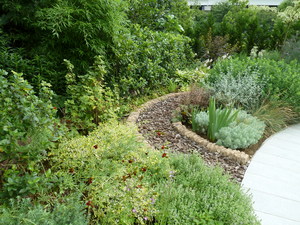 MarksGarden_0706_04.JPG