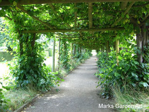 HatfieldHouse_03.jpg