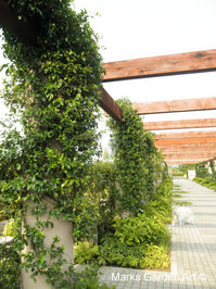 KawagoeFM0817_03.jpg