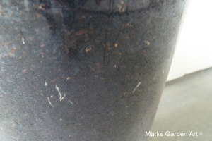 Bulbs-in-pot2011_02.JPG