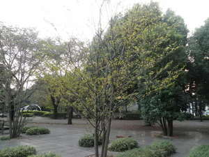 Fuchu_Museum_06.JPG