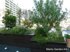 Hiroo_01.JPG
