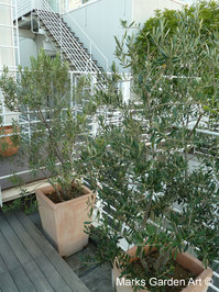 Hiroo_03.JPG