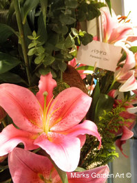 IFEX2011_04.JPG
