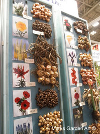 IFEX2011_06.JPG