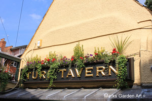 Pub_No.2_01.JPG
