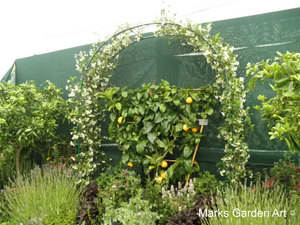 RHS_TattonPark2011_04.JPG