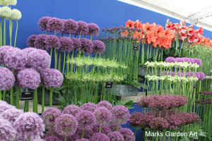 RHS_TattonPark2011_11.JPG