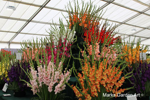 RHS_TattonPark2011_13.JPG