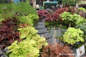 RHS_TattonPark2011_15.JPG