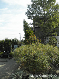 Typhoon2011_03.JPG