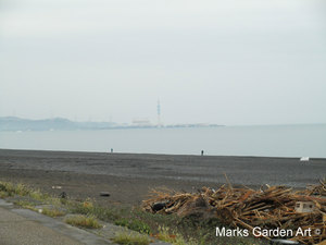 Wakayama_2011_02.JPG