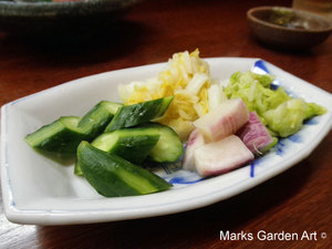 Wakayama_2011_03.JPG